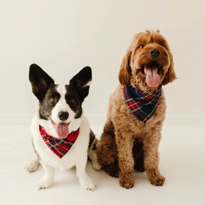 Windsor Tartan Dog Bandana